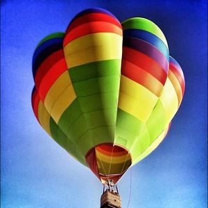 Meet your Posher, Cora